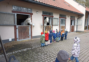 Oto jaka niespodzianka! Dzieci obserwują konie, które znajdują się w stajni.