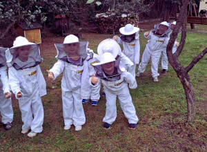 Żabki odwiedzają pasiekę.