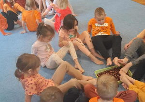 Żabki biorą udział w zajęciach z gimnastyki korekcyjnej.