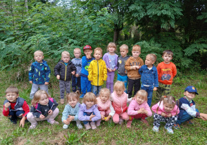 Motylki wybrały się na spacer po okolicy, w poszukiwaniu oznak jesieni.