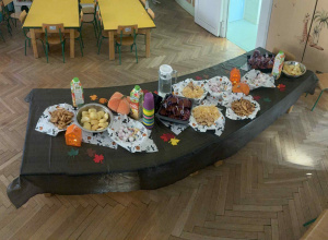 Bal Dyni u Pszczółek i Biedronek