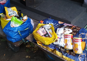 Tyle udało się zebrać dzięki Państwa wsparciu!