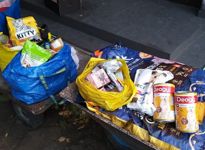 Podsumowanie zbiórki karmy dla schroniska dla zwierząt