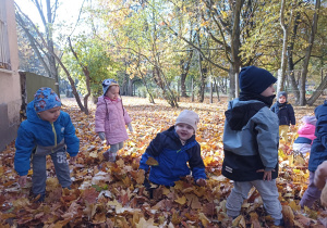 Pszczółki wykorzystały słoneczny dzień i postanowiły wybrać się na spacer.