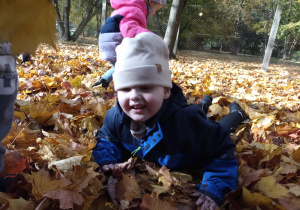 Chłopiec turla się w liściach.