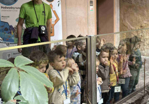 Oglądamy zwierzęta przez szybę!